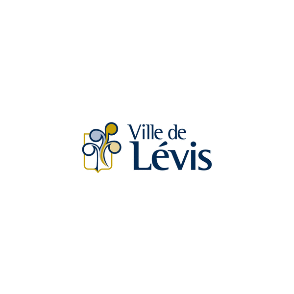 Directeur Ou Directrice Des Communications Ville De Levis Levis Isarta Fr